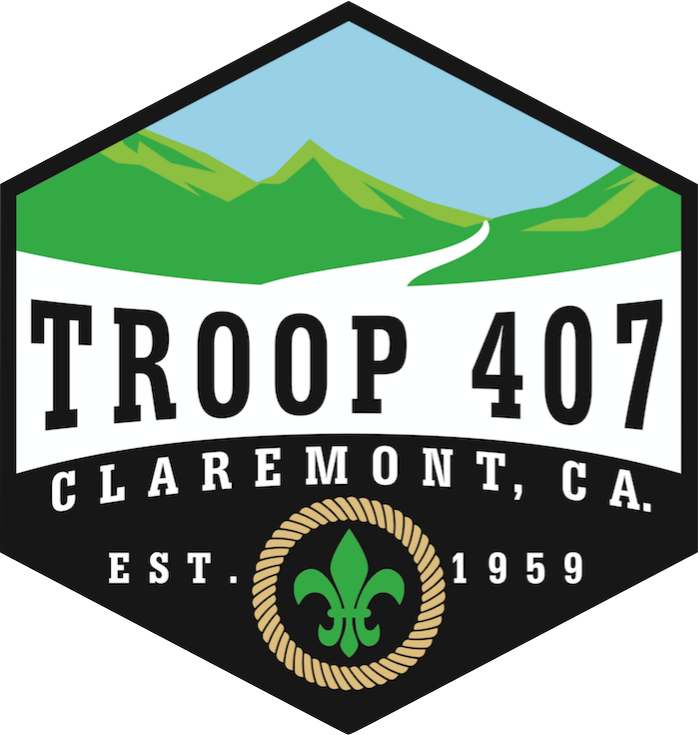 T407 Logo
